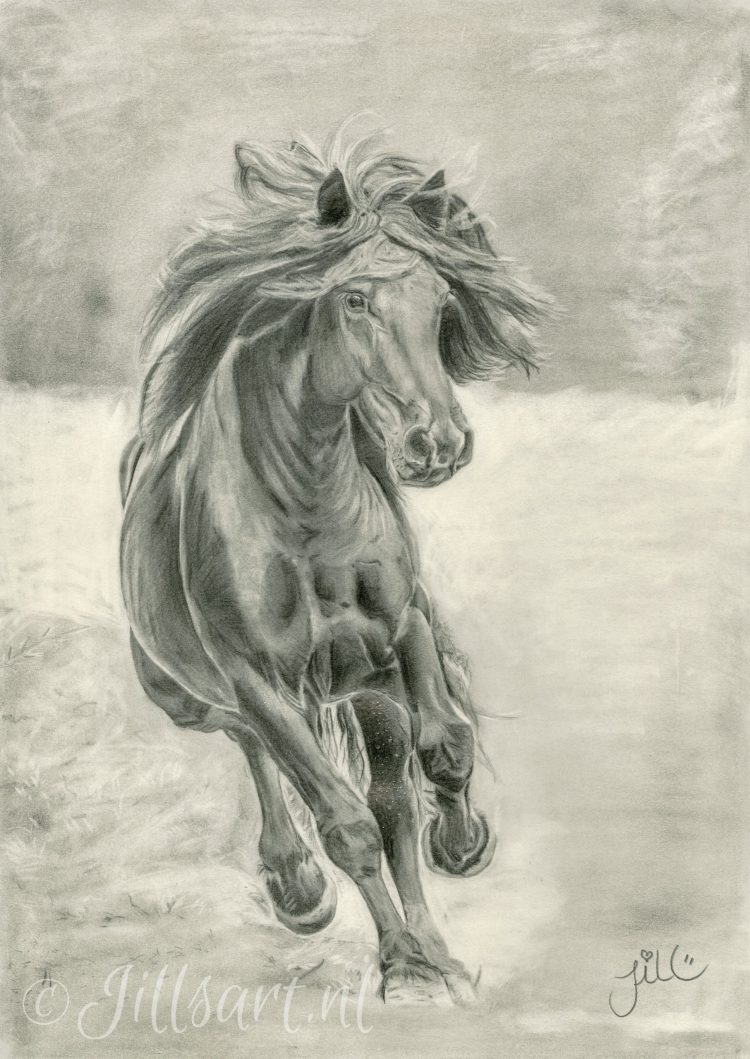 merens-paard-tekening-framed-art-karen-broemelsick-print-afdruk