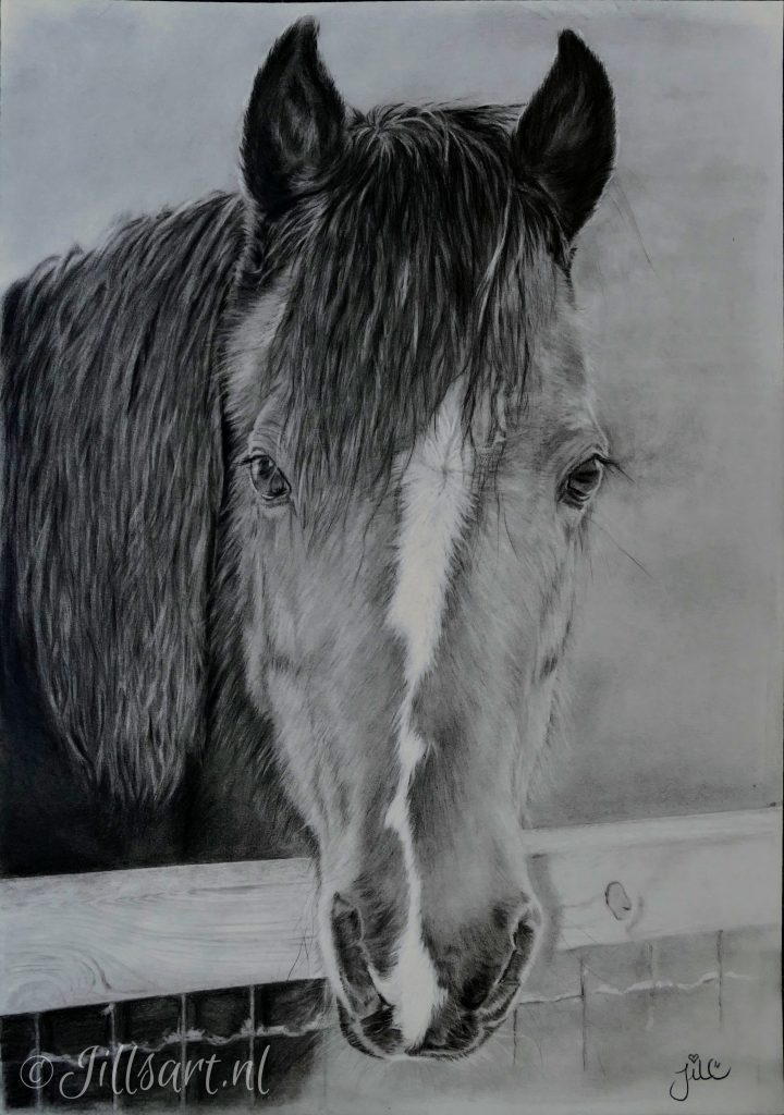 pippi-pony-tekening-petart-paard-tekeningen