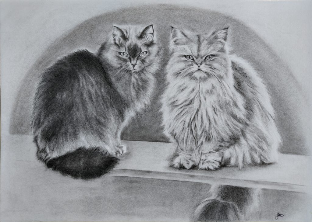 Milou-en-cisco-katten-poezen-tekening-houtskool