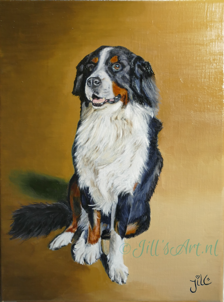 BernerSennen-hond-dog-Lola-dogart-hond-kunst-huisdier-berner-senner-tekening-olieverf-oilpaint-painting