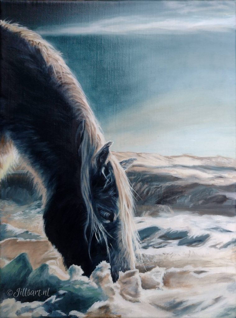 Icelandic-horse-winter-wonderland-bit-magazine-competition-horse-oilpainting-olieverschilderij-kunst-nederlland-art