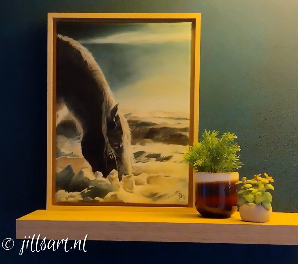 IJslander-ingelijst-paardenportret-olieverfschilderij-kunst-aan-de-muur