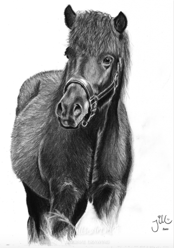 ijslands-paard-pony-art-ijslandsepaardenkunst-kunstijslandspaard-