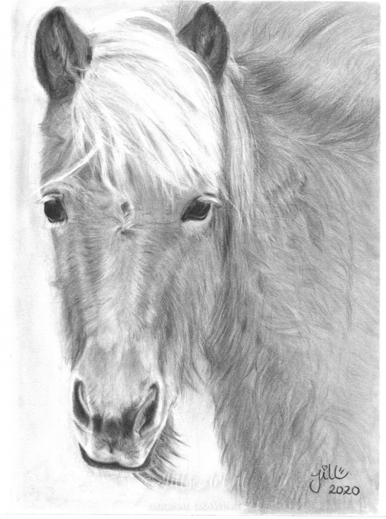 ijslands-paard-pony-art-ijslandsepaardenkunst-kunstijslandspaard-
