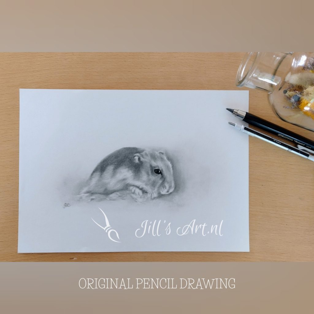 Hamster getekend-tekening-knaagdiertje