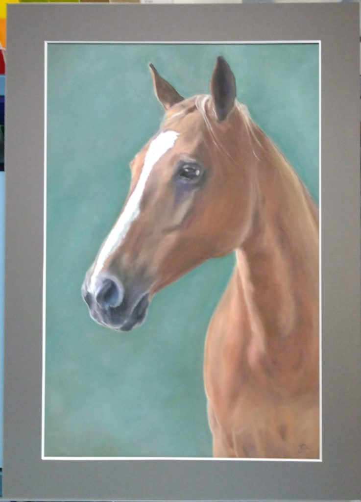 polly-paard-pony-in-memoriam-memorial-portret-portrait