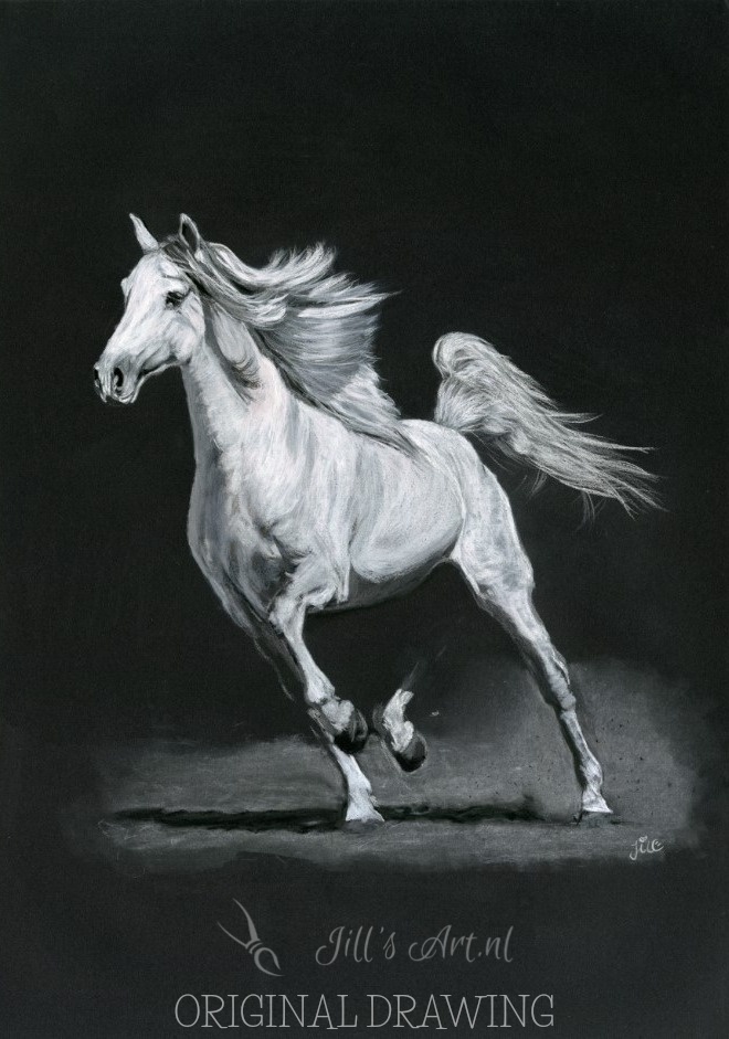 spaans paard tekening licht Juhl