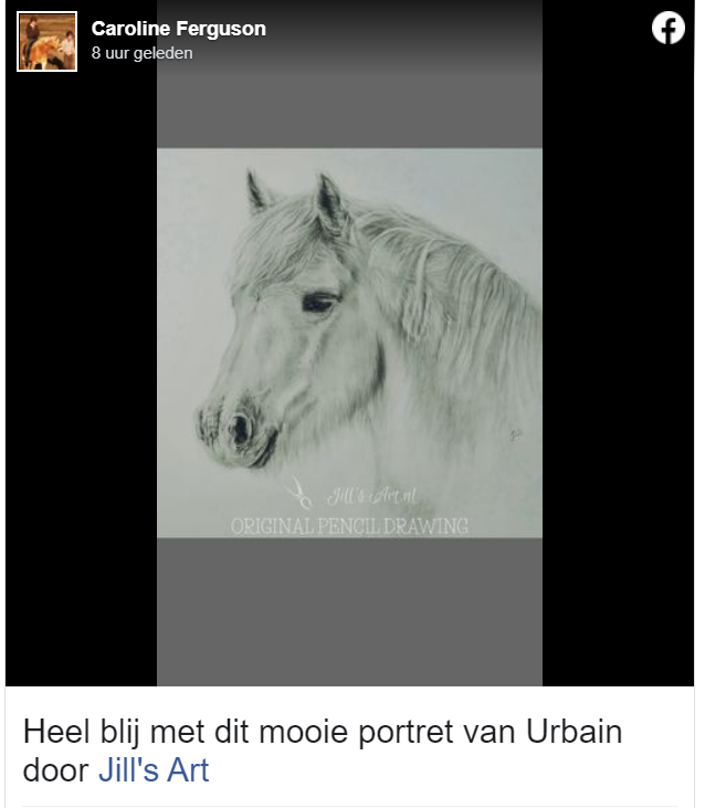 camargue paard horse drawing tekening jillsart jilsart