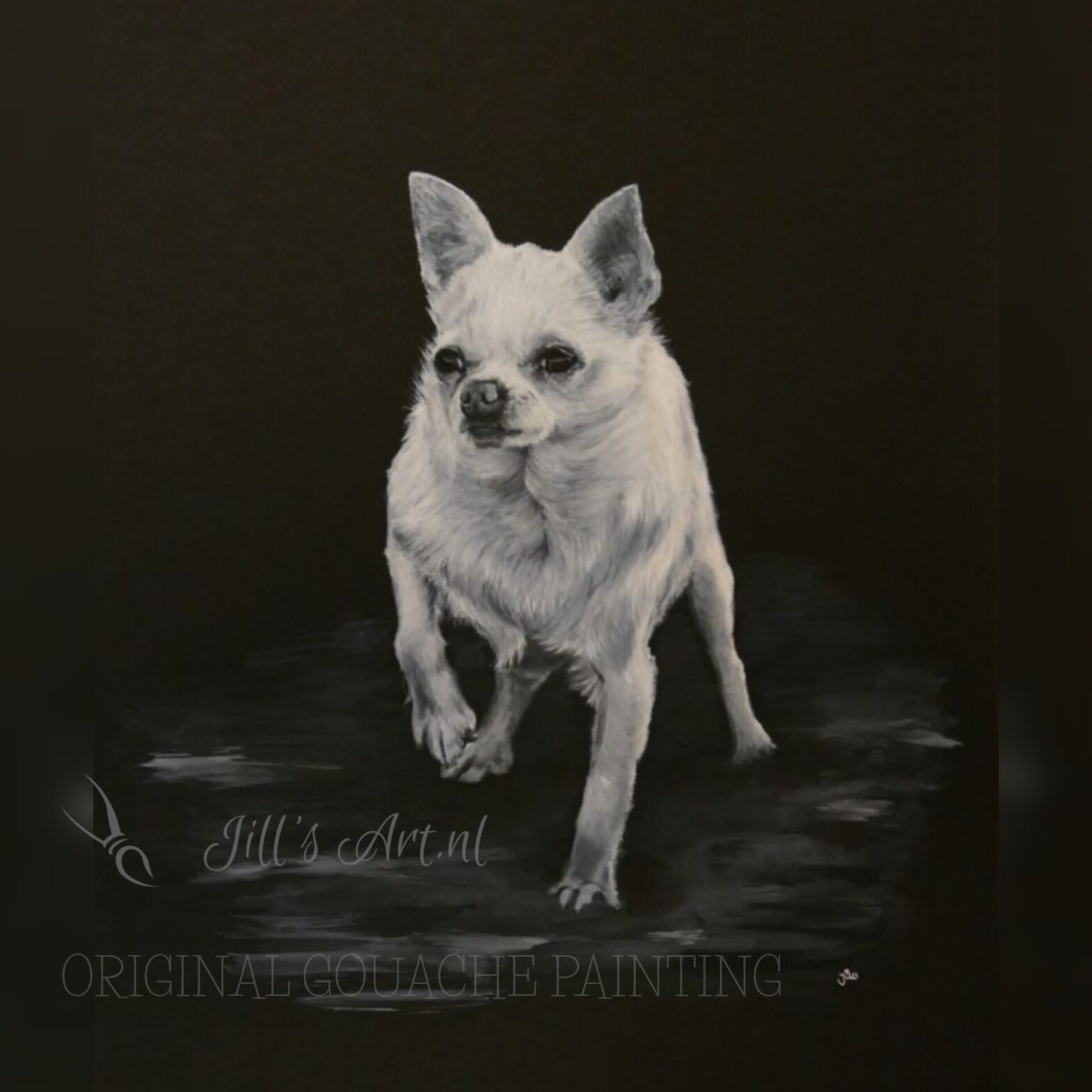 Chihuahua Chloe getekend/geschilderd met Gouache op zwart papier van Fabriano.