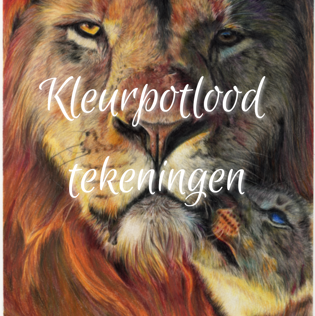 Tekeningen - Kleurpotloden