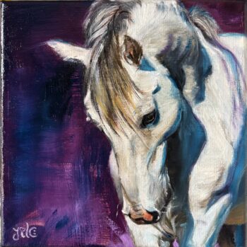🔴 Origineel Olieverfschilderij | "Rascal, de wilde witte hengst"