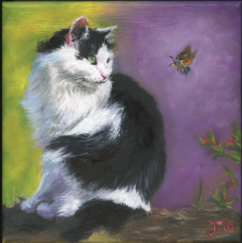 🟢Origineel olieverfschilderij | "Zwart witte kat met kolibrievlindertje"